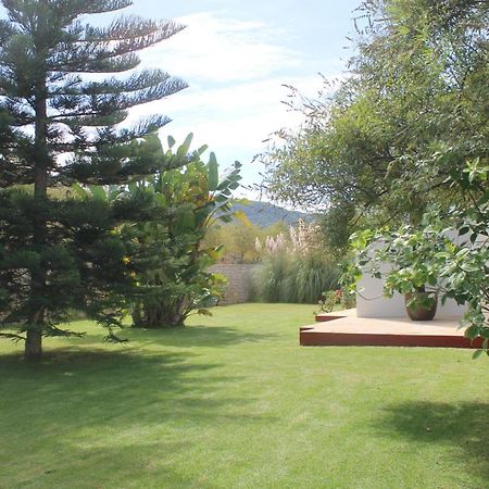 Villa Ca Na Vinya Cala Tarida  Zewnętrze zdjęcie